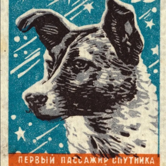 --- - Picture 1 of 1